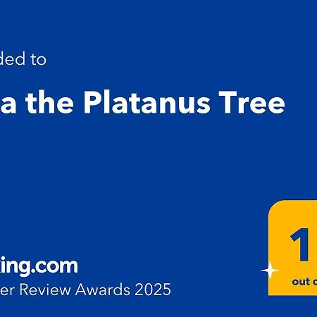 Villa The Platanus Tree Kato Vasiliki Exteriör bild