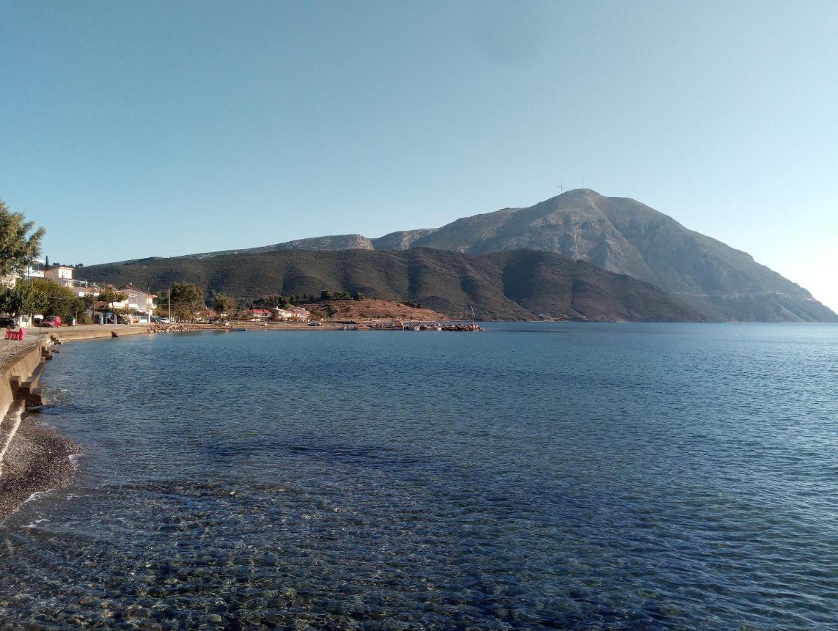 Villa The Platanus Tree Kato Vasiliki Exteriör bild