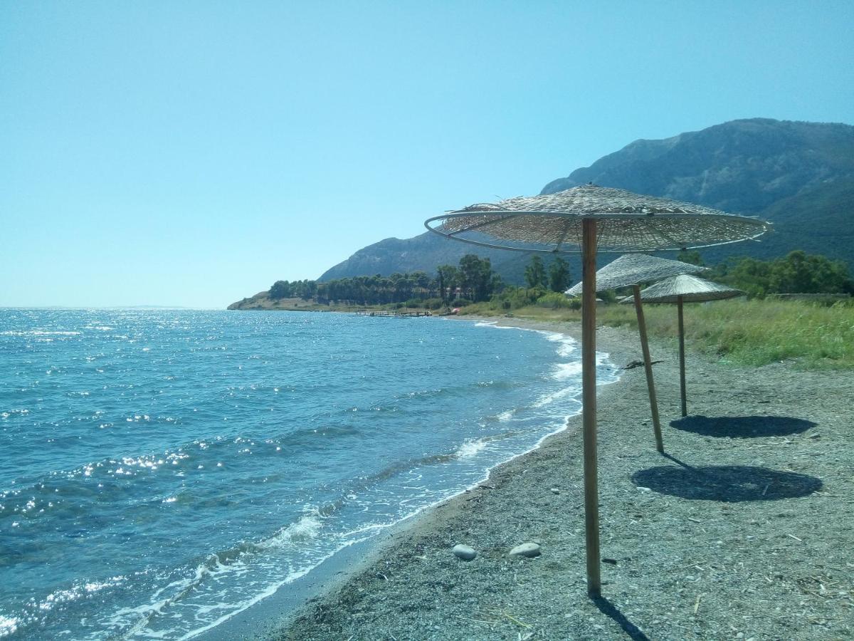 Villa The Platanus Tree Kato Vasiliki Exteriör bild