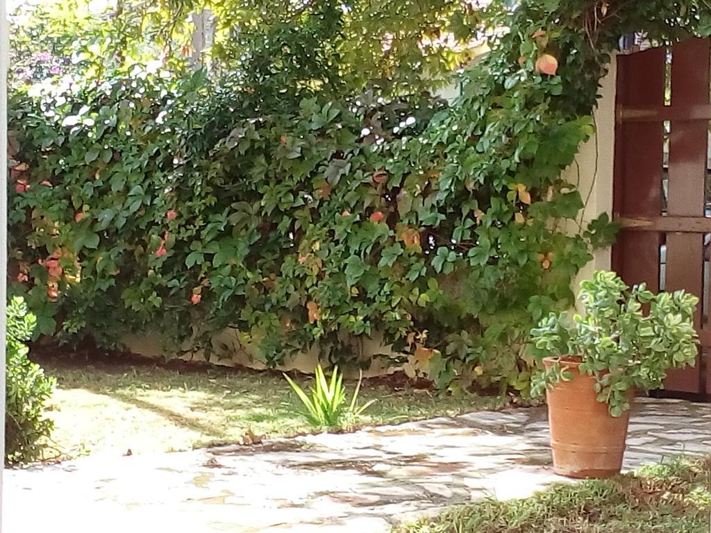 Villa The Platanus Tree Kato Vasiliki Exteriör bild