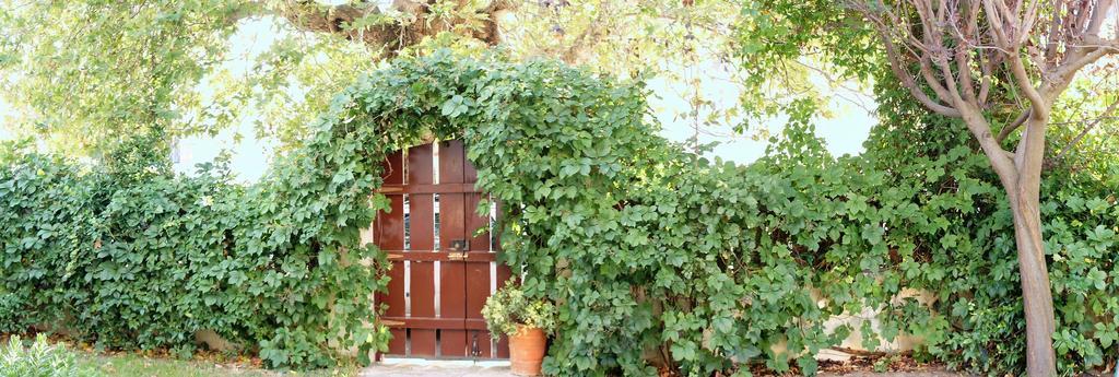 Villa The Platanus Tree Kato Vasiliki Exteriör bild