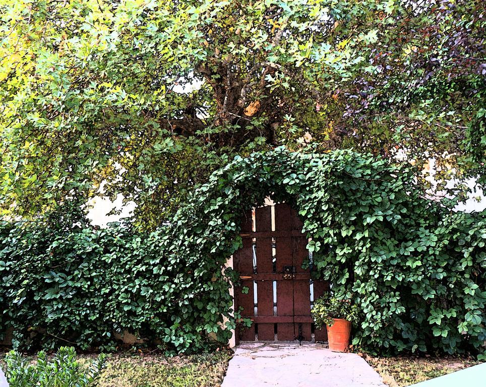 Villa The Platanus Tree Kato Vasiliki Exteriör bild